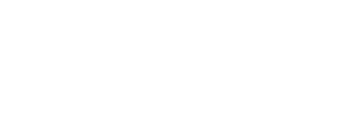The Initiative